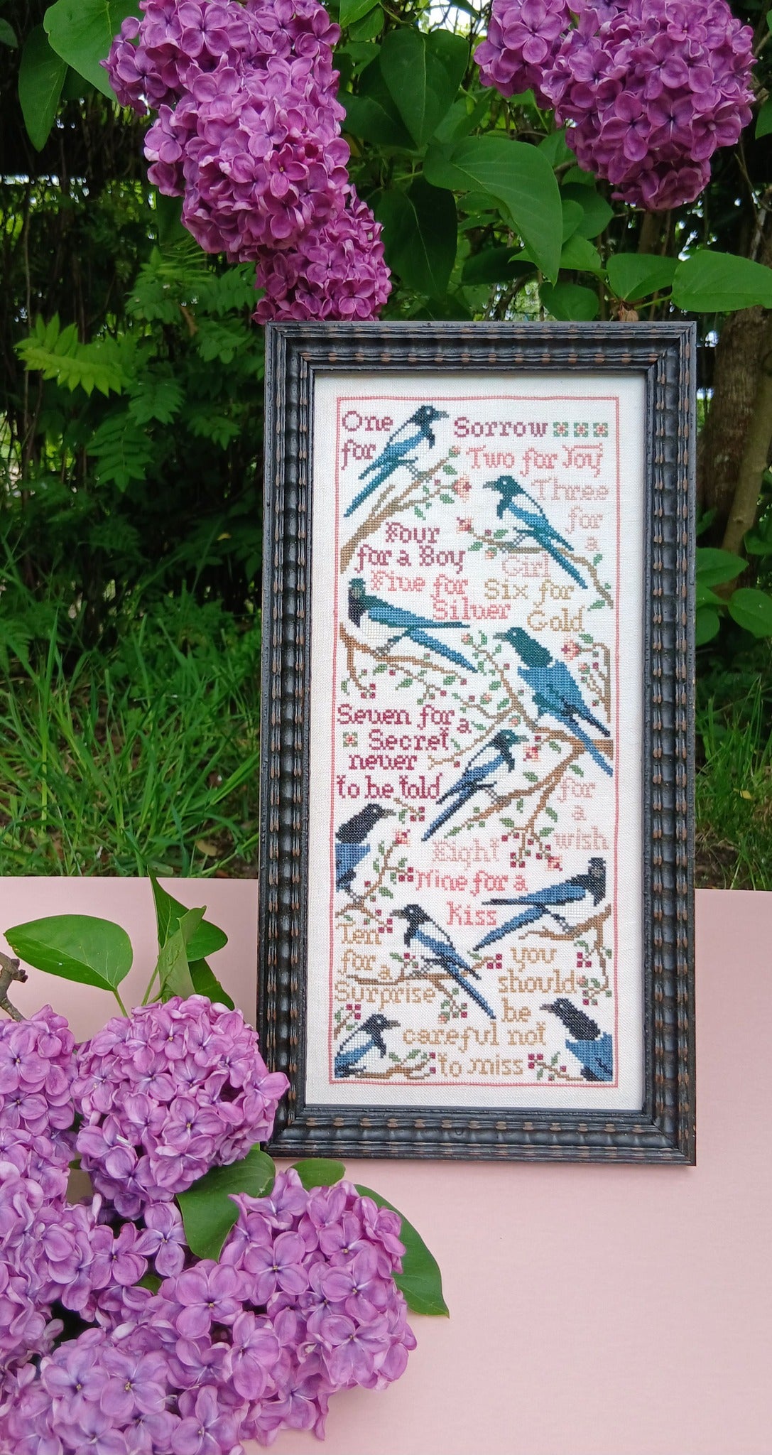 Pre-order: A Magpies Song