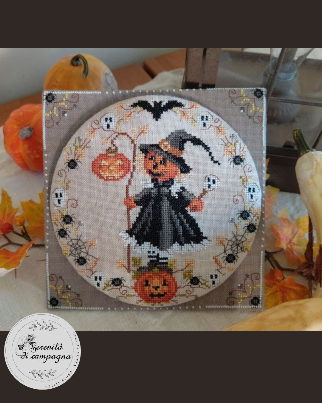Pre-order: HALLOWEEN - STREGA ZUCCA (ships late September)