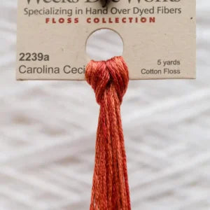 Carolina Cecil (2239a) - 5 Yards