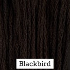 Blackbird