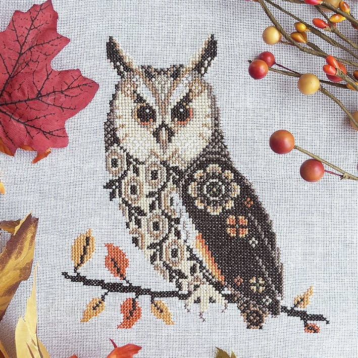 Pre-order: Long Eared Owl (ships late August)