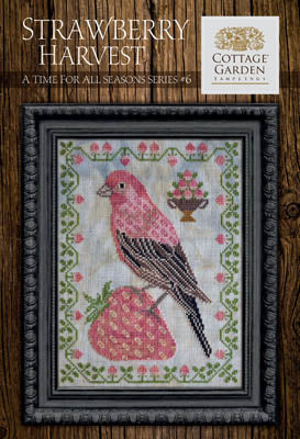 A Time for All Seasons Series