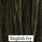 English Ivy