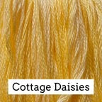 Cottage Daisies