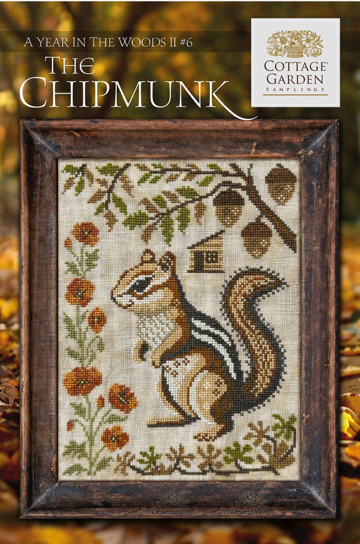 Preorder: The Chipmunk - A Year in the Woods II #6
