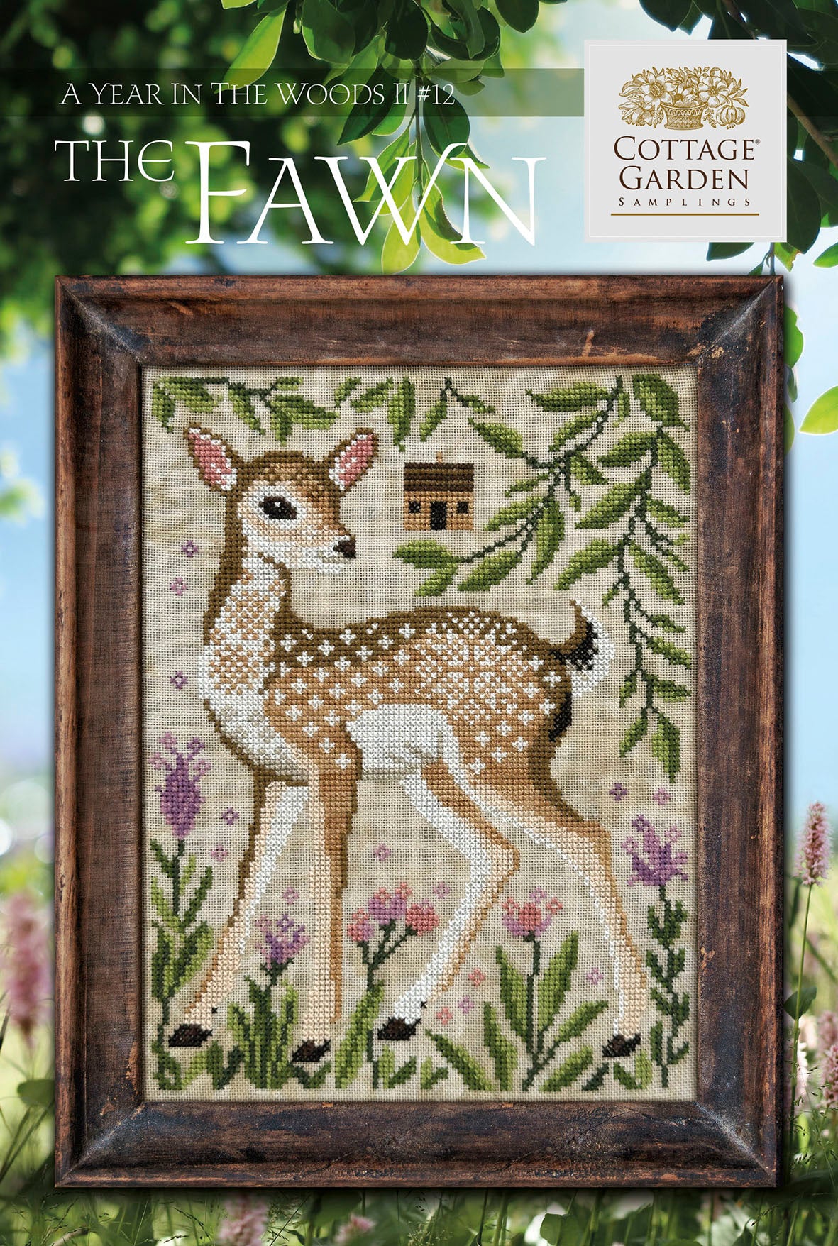 A Year in the Woods II Series