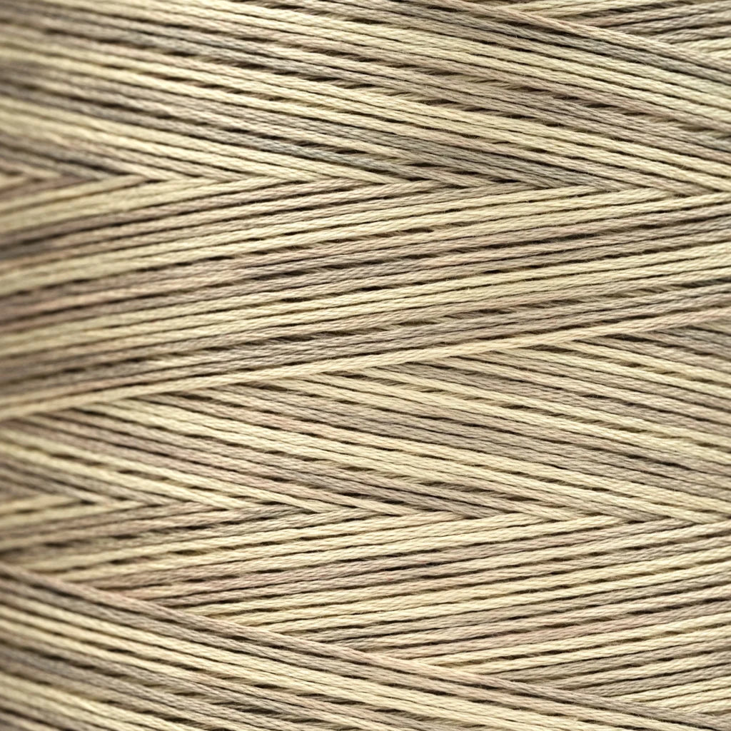 Coquina (1122a) - 5 Yards