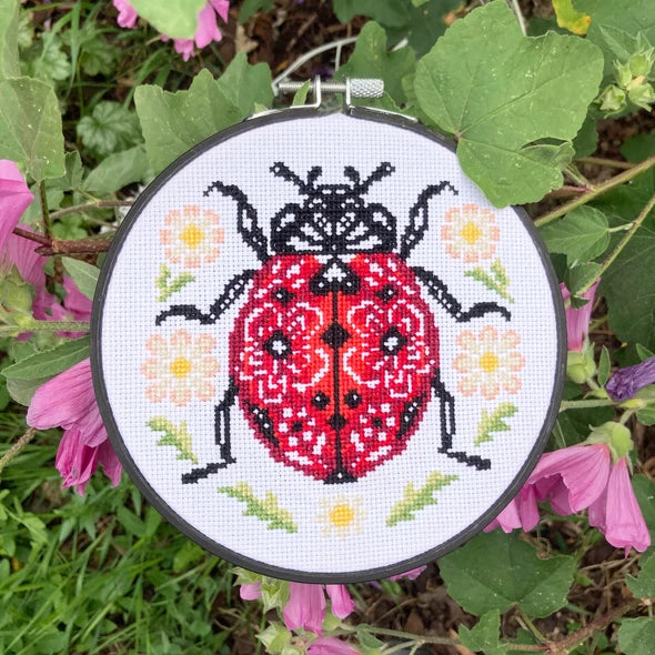 Lil' Ladybird