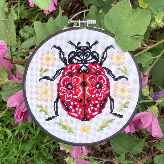 Lil' Ladybird