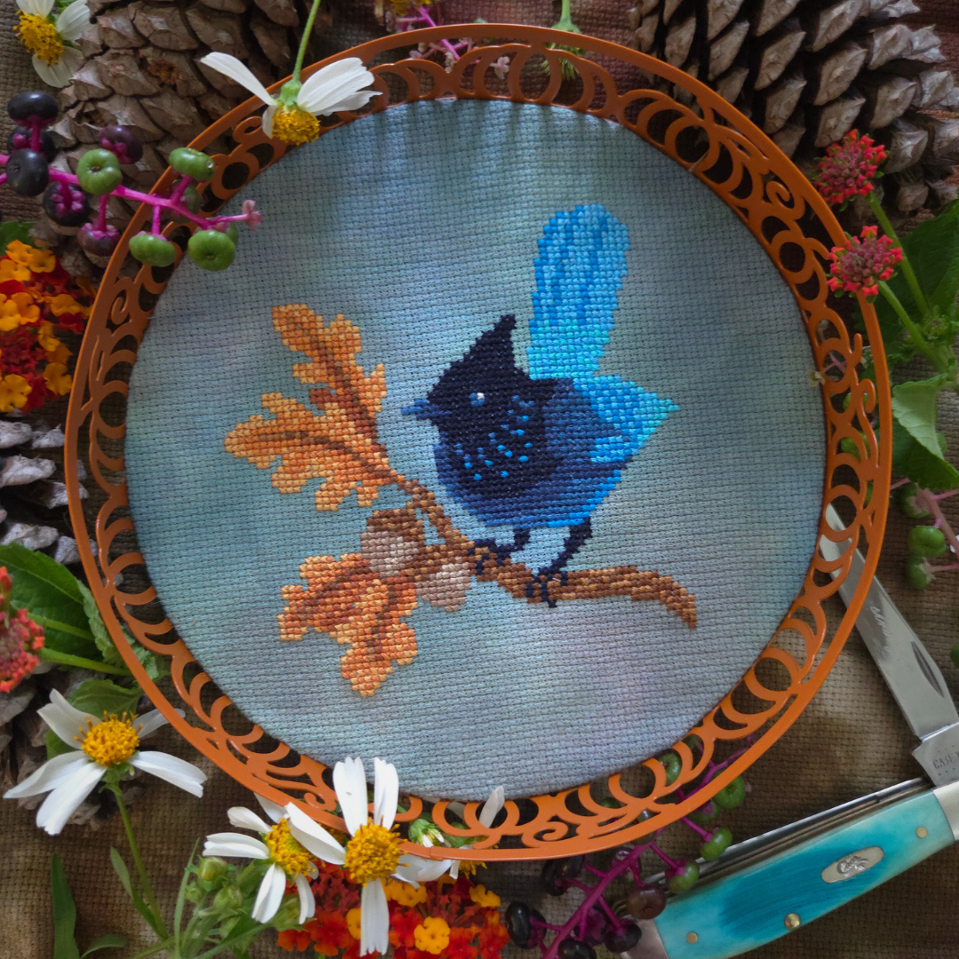 Pre-order: Steller's Jay and Feather Bookmark (ships late September)