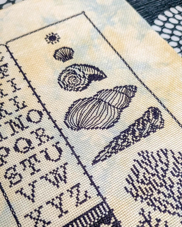 Pre-order: Low Tide Sampler (ships late September)