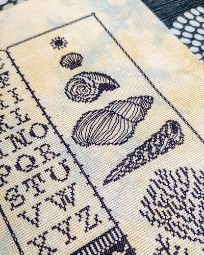 Pre-order: Low Tide Sampler (ships late September)