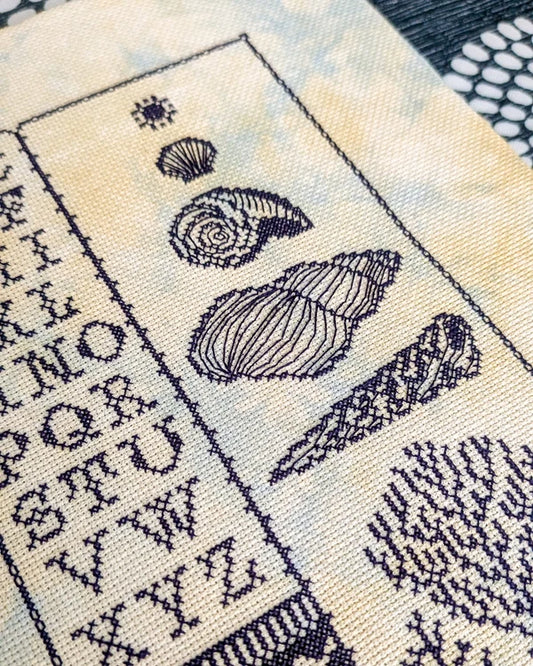 Pre-order: Low Tide Sampler (ships late September)