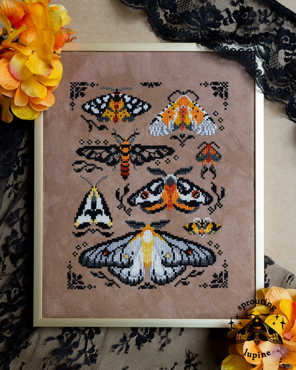 Pre-order: Ochre Wings (ships late September)