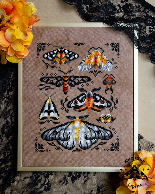 Pre-order: Ochre Wings (ships late September)