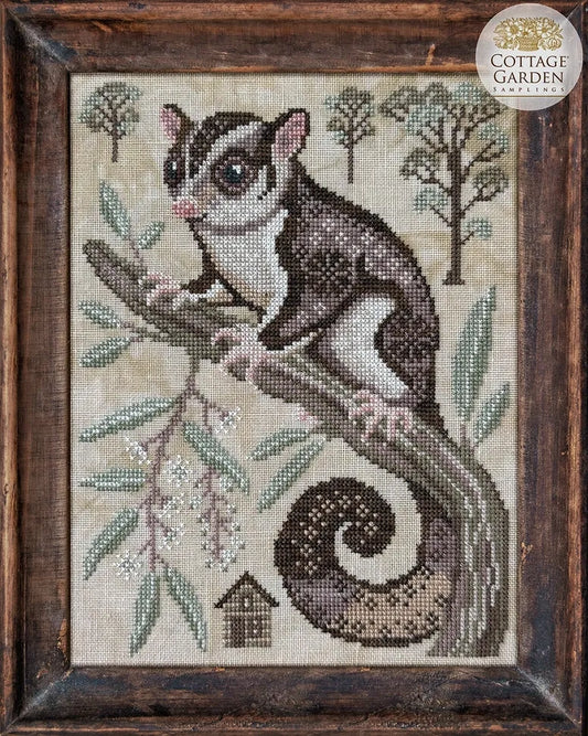 The Sugar Glider - A Year in the Woods II