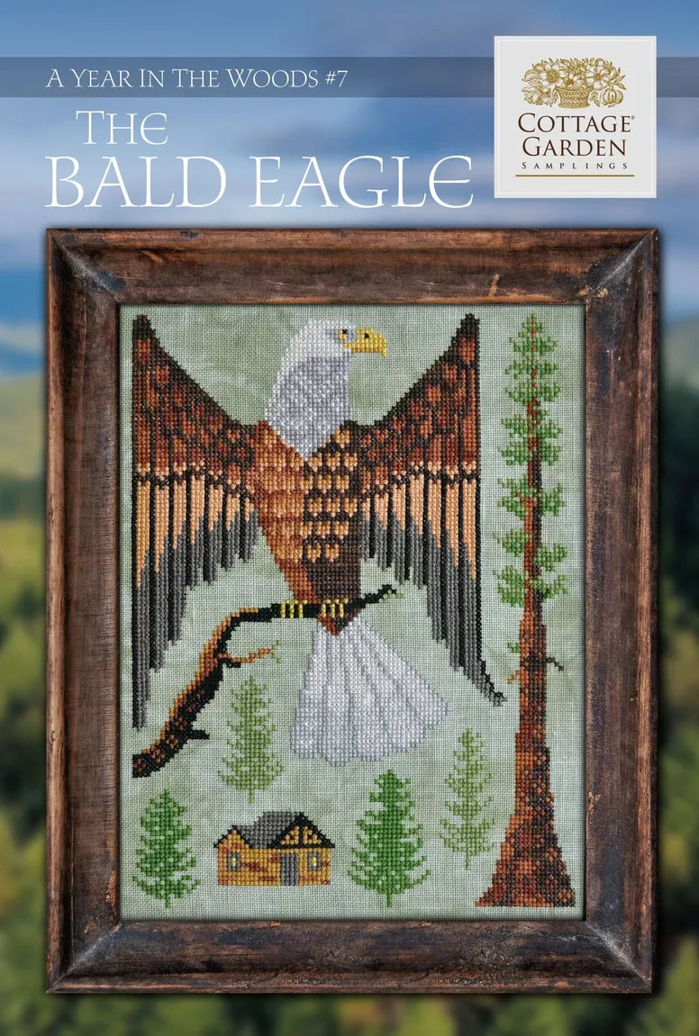 The Bald Eagle - A Year in the Woods #7
