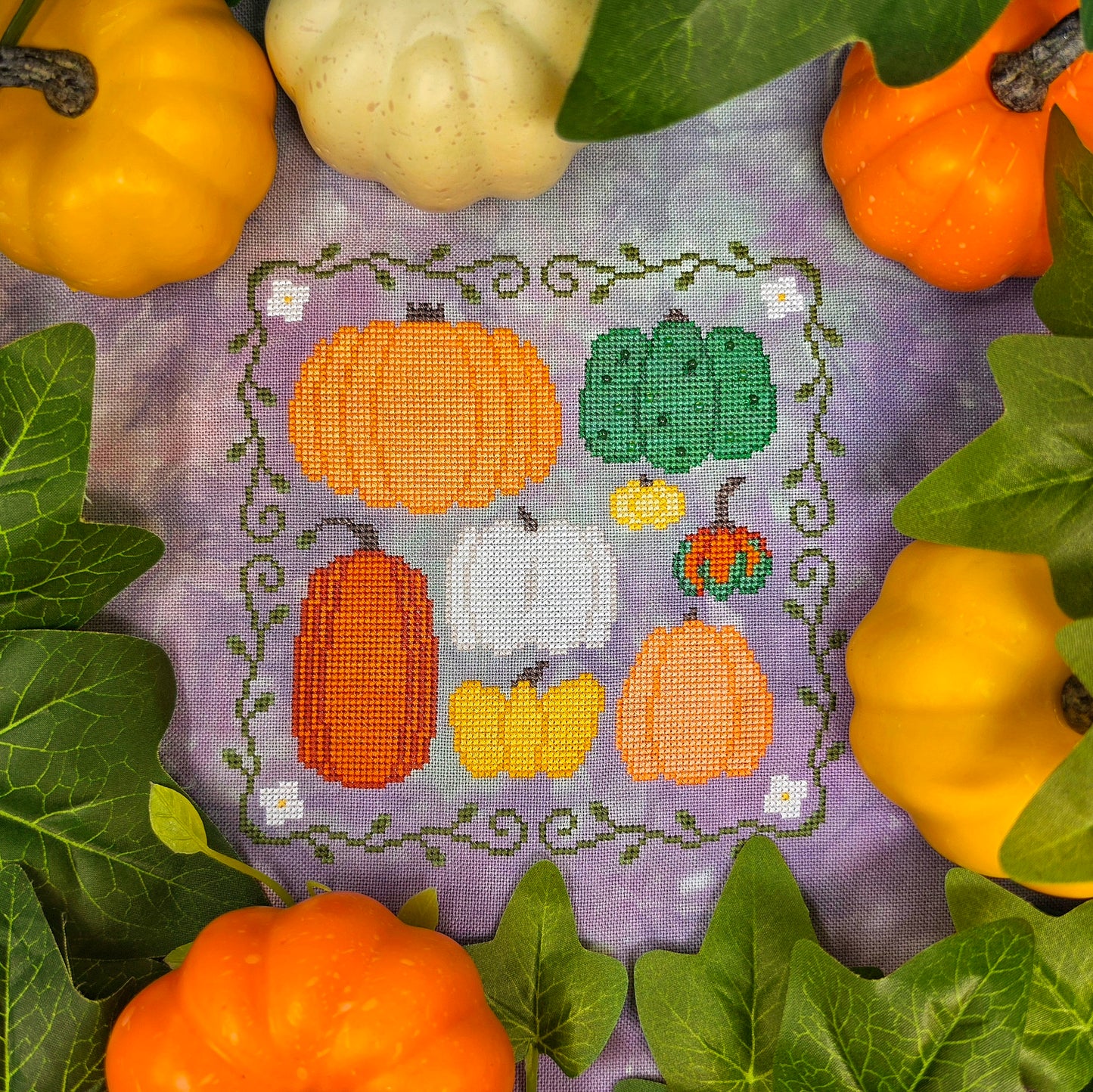 Pre-order: Family Pumpkins (ships late September)