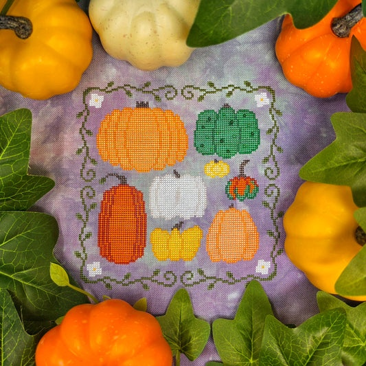 Pre-order: Family Pumpkins (ships late September)